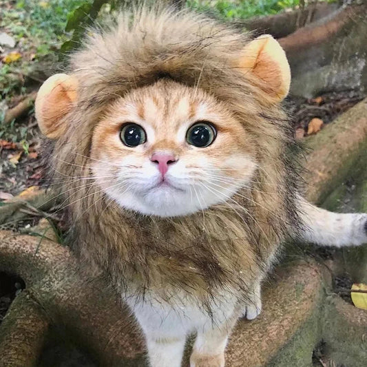 Cute Lion Mane Cat Wig Hat Pet Hat for Dogs Cats Kitten Cap 2026 New Year Party Cosplay Costume Cat Accessories Photo Props