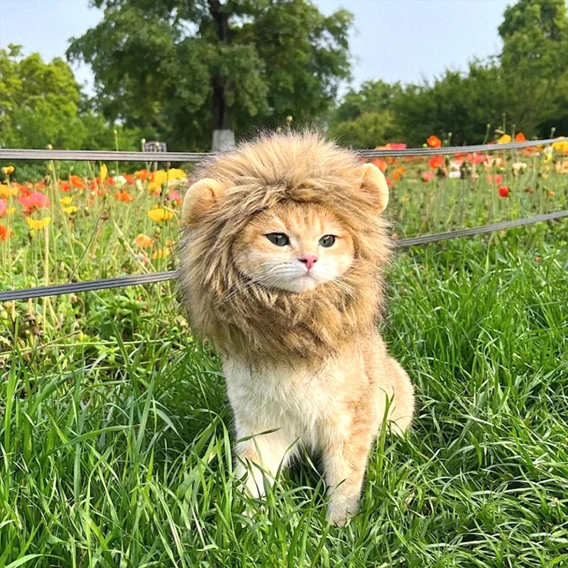 Cute Lion Mane Cat Wig Hat Pet Hat for Dogs Cats Kitten Cap 2026 New Year Party Cosplay Costume Cat Accessories Photo Props